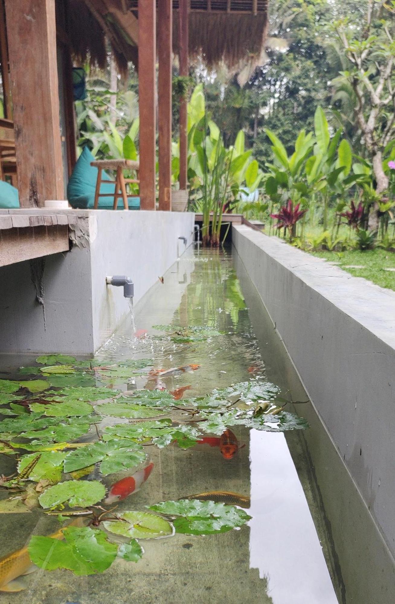 Rumah Guci Ubud Zewnętrze zdjęcie