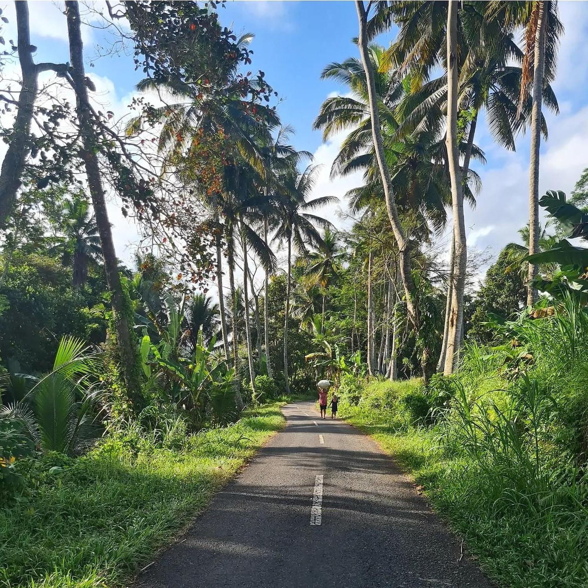 Rumah Guci Ubud Zewnętrze zdjęcie